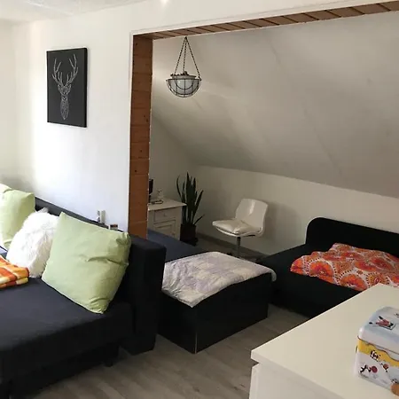 Im Einfamilienhaus, Automobil Und Robert Schumann Stadt Zwickau