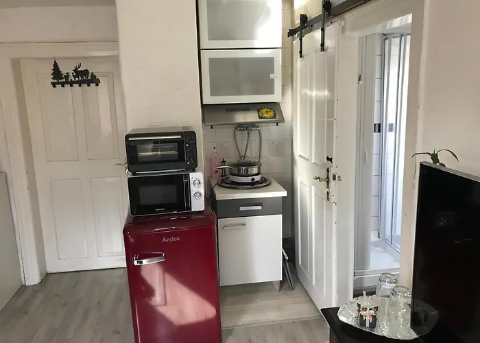 Im Einfamilienhaus, Automobil Und Robert Schumann Stadt